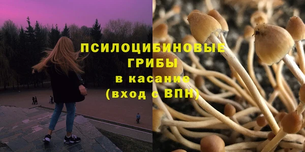 спиды Михайловск