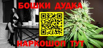 крисы Абакан