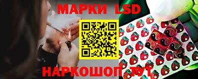 крисы Абакан