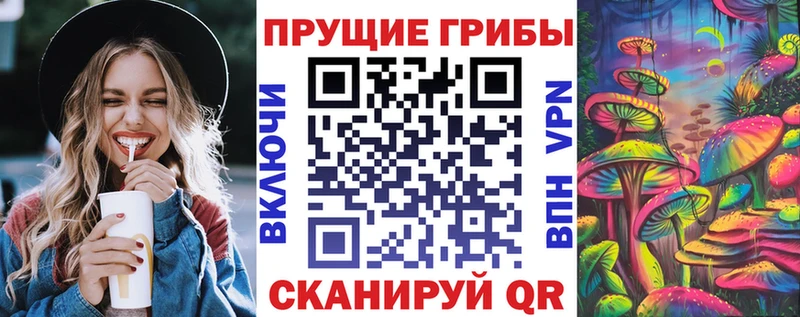 мега   что такое наркотик  Усть-Кут  Псилоцибиновые грибы MAGIC MUSHROOMS 