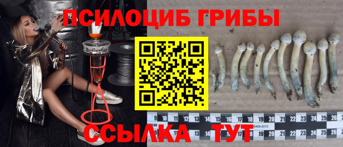 Галлюциногенные грибы ЛСД  Усть-Кут 