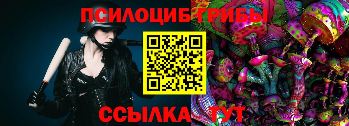 Псилоцибиновые грибы Psilocybe  Галлюциногенные грибы Psilocybe  где найти наркотики  Вход с VPN  Усть-Кут 
