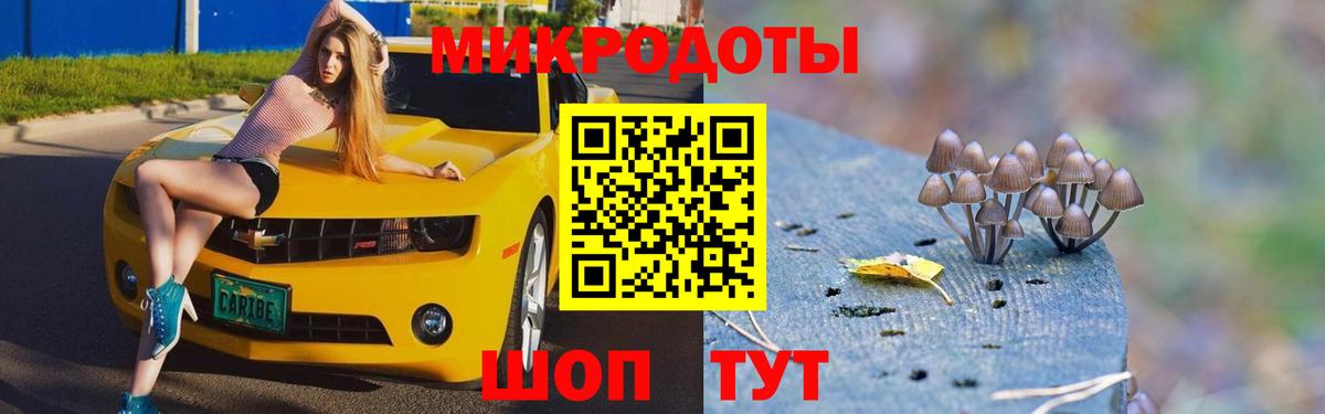 Псилоцибиновые грибы Psilocybe Усть-Кут